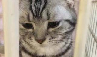 360桌面壁纸 360桌面壁纸