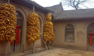 中国面积最大的省份