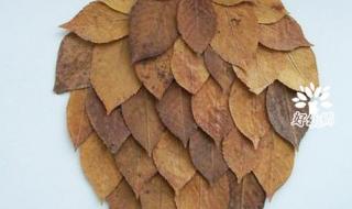 树叶画的简单做法 树叶画的简单做法