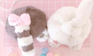 小浣熊手机 小浣熊手机