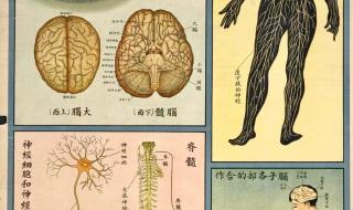 动物保护法留言文案 动物保护法留言文案