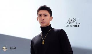 黄景瑜个人资料简介及 黄景瑜个人资料简介及