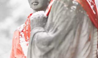 形容瑞雪好兆头佳句