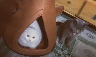 小气鬼喝凉水 小气鬼喝凉水