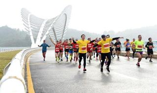 马拉松金牌赛事名单